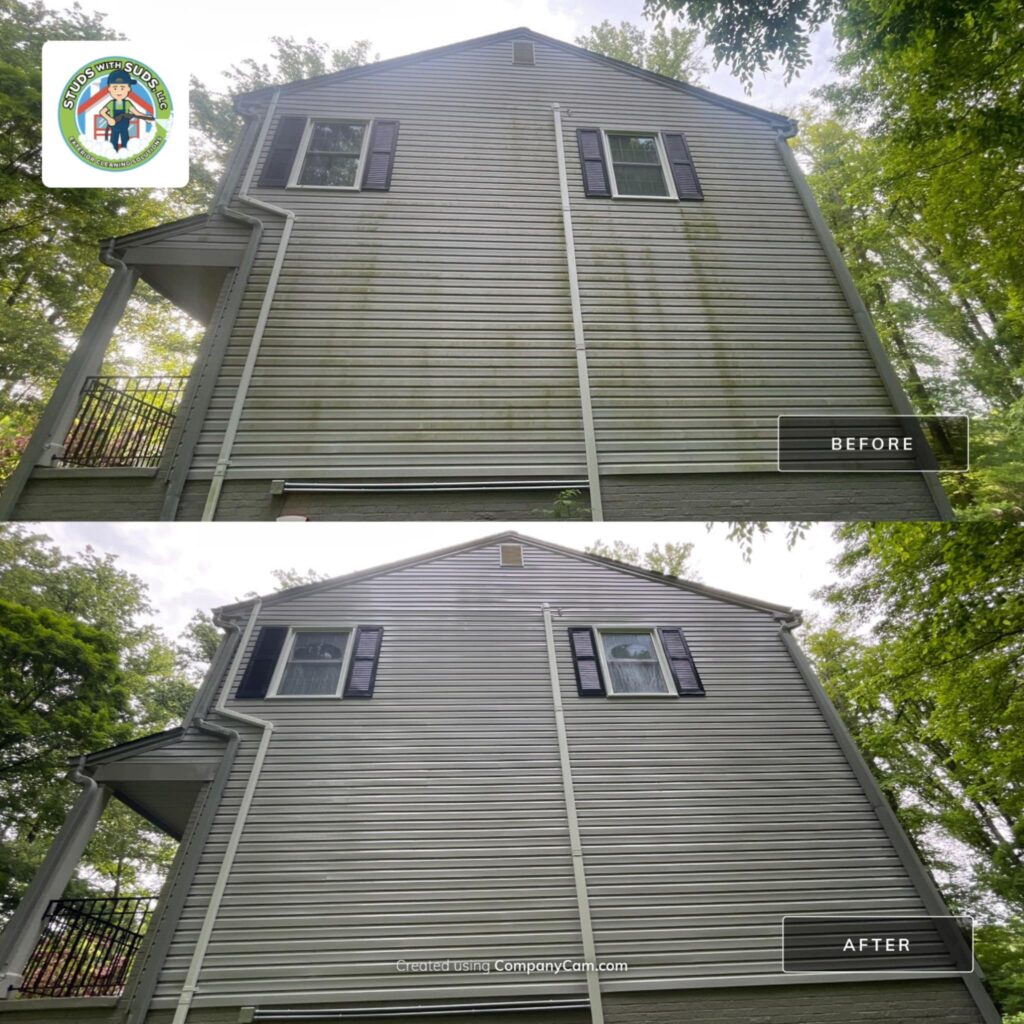 The Importance of Professional Gutter Cleaning for Home Maintenance 1